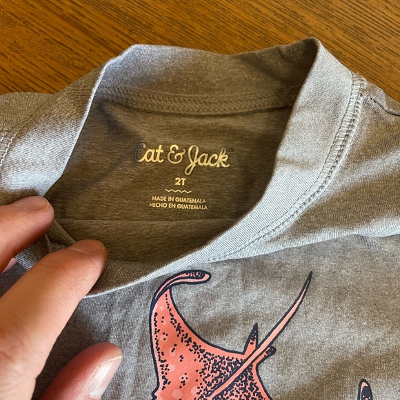 Toddler Boy Blue and Colorful Swim Lot Bundle Cat & Jack Old Navy Swim Trunks - Picture 8 of 11